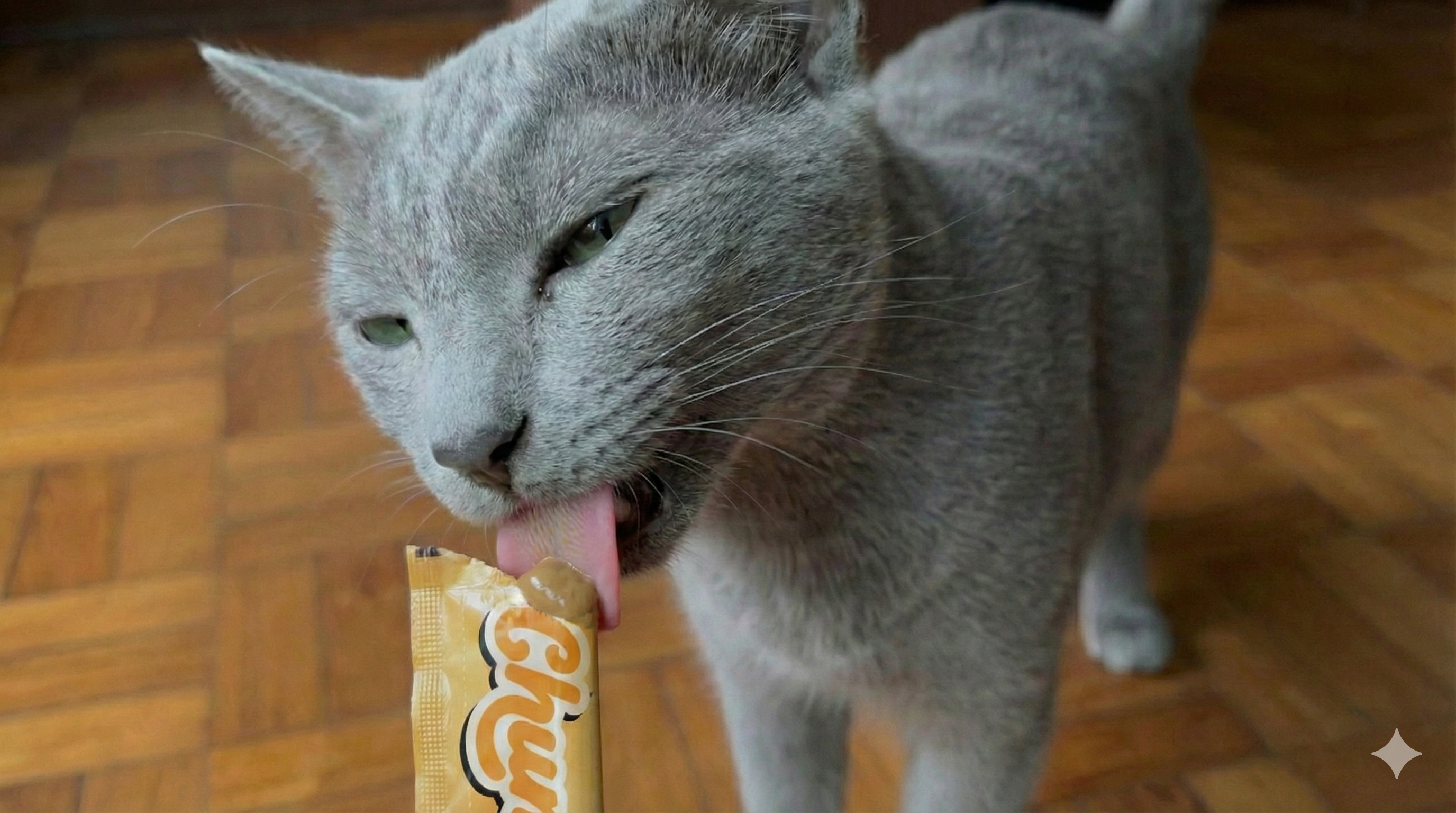 What Is a Lickable Cat Multivitamin?