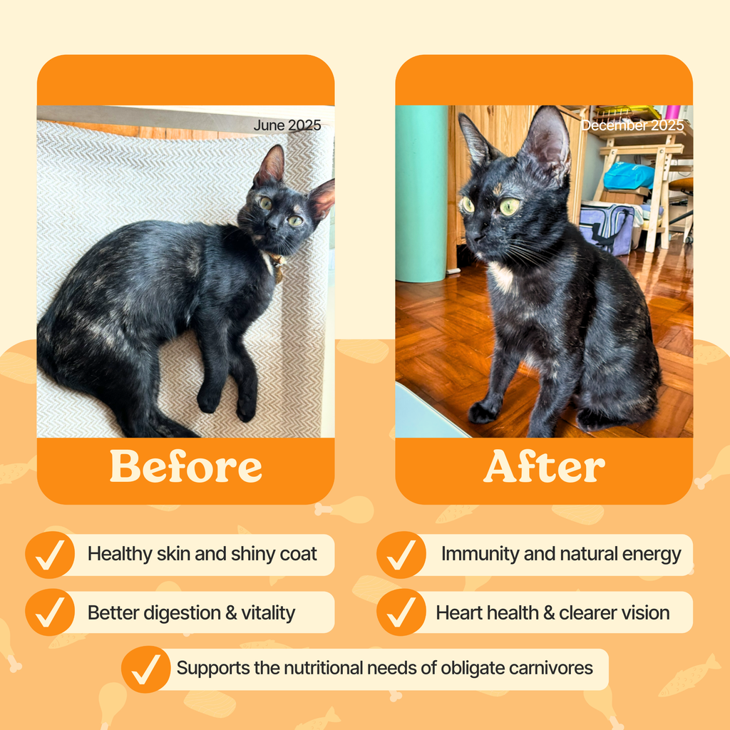 Chumi – 10-in-1 Lickable Cat Multivitamin – Bonito (30-Pack)