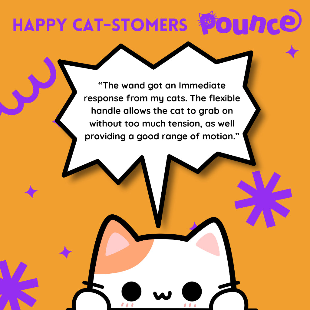 POUNCE CAT Premium Feather Teaser Wand Crinkling Durable Purple Green Cat Toy with Bell and Foil